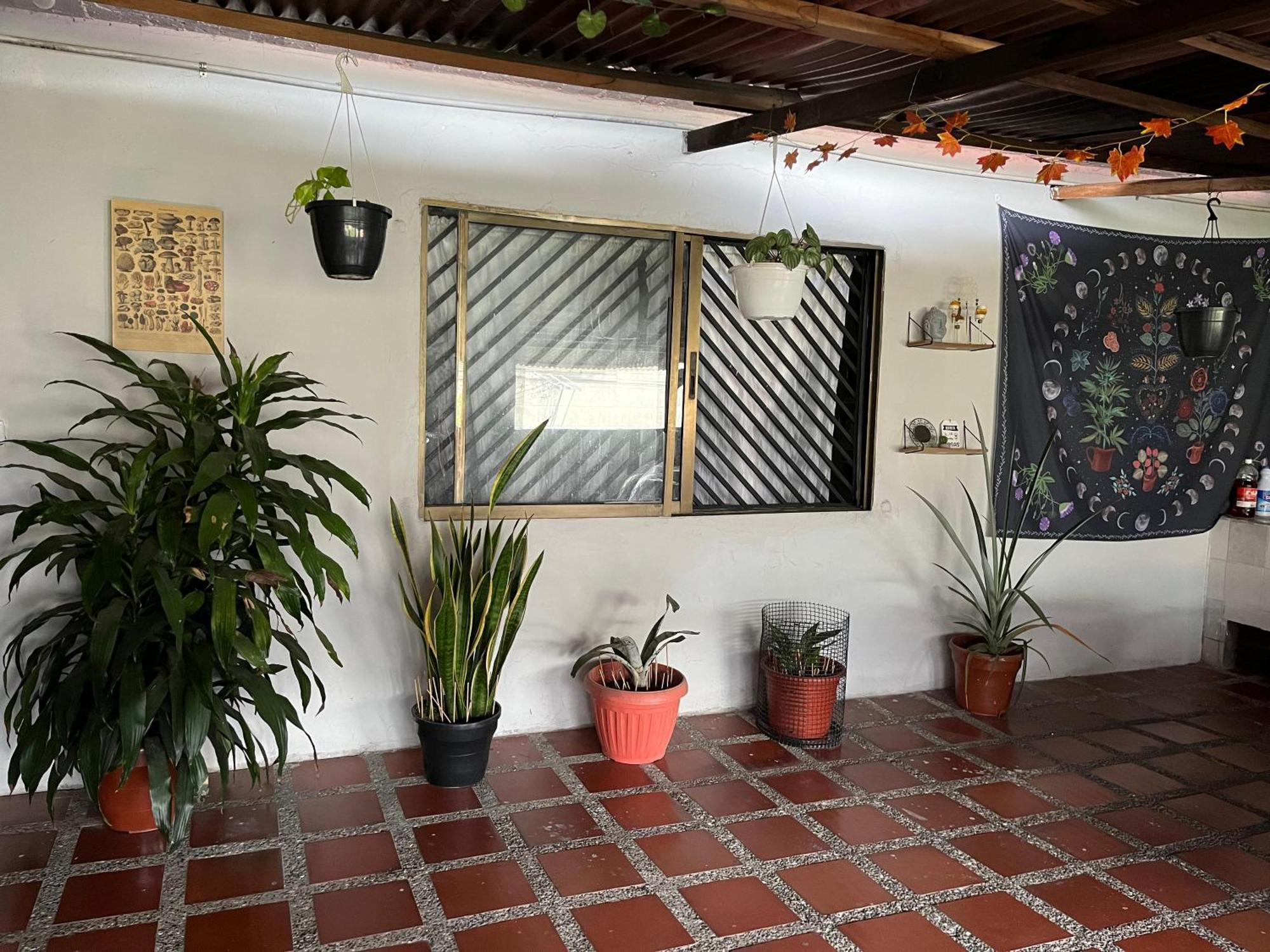 Nice Place Medellin Ngoại thất bức ảnh